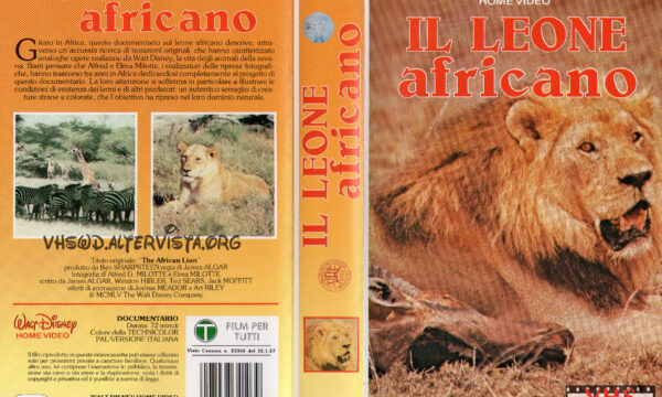 Il leone africano (riedizione)